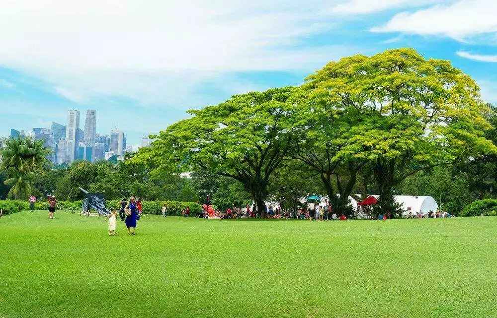 草坪除草技术