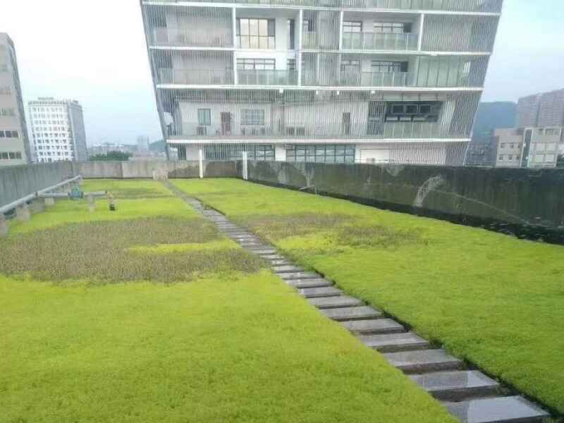 广东省种植青叶佛甲草屋顶绿化适合吗，种植后可以防水吗.