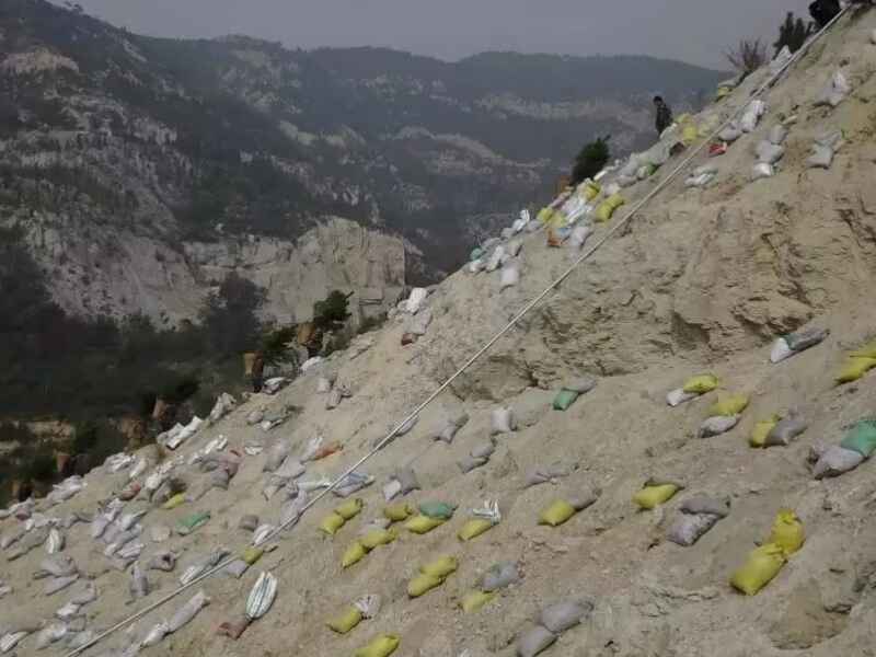 海南省荒山复绿种植适合的方法