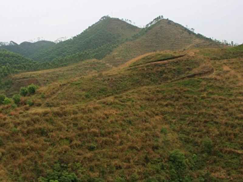 河北省荒山绿化可以喷播吗